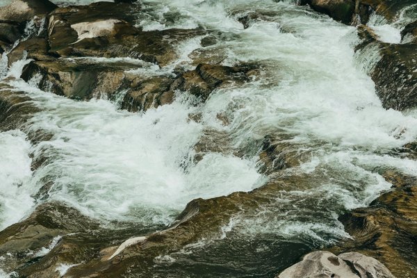 Voyages Sur Les Rails