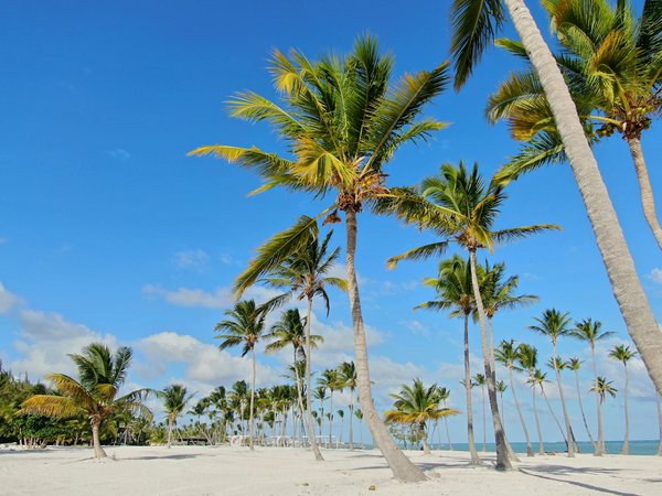 Comment organiser une croisière fluviale sur l'Elbe, Allemagne : itinéraires et conseils pratiques ?