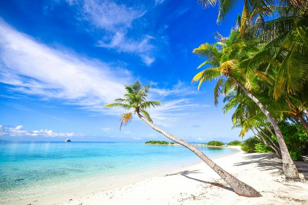 Quels sont les meilleurs conseils pour une expédition de randonnée dans les montagnes du Rwenzori, Ouganda : itinéraires et équipements ?