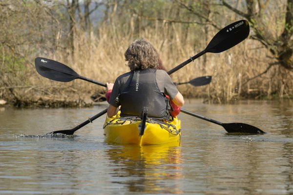 Comment organiser un camping pour une expédition de kayak en région de mangroves?
