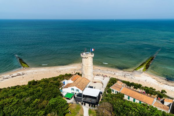Quels sont les meilleurs spots pour observer les baleines en Norvège?
